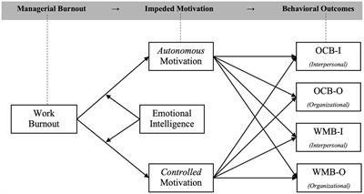 From burnout to behavior: the dark side of emotional intelligence on optimal functioning across three managerial levels